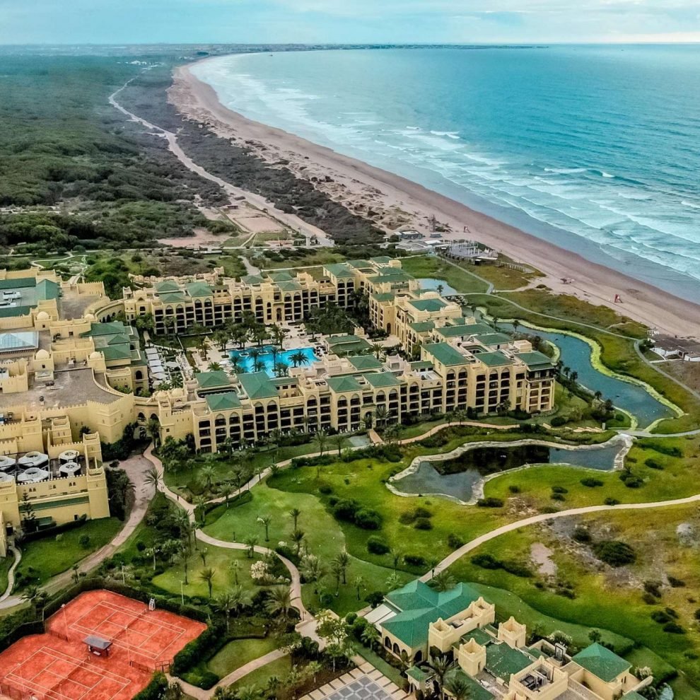 ice-316801-98780388-364329